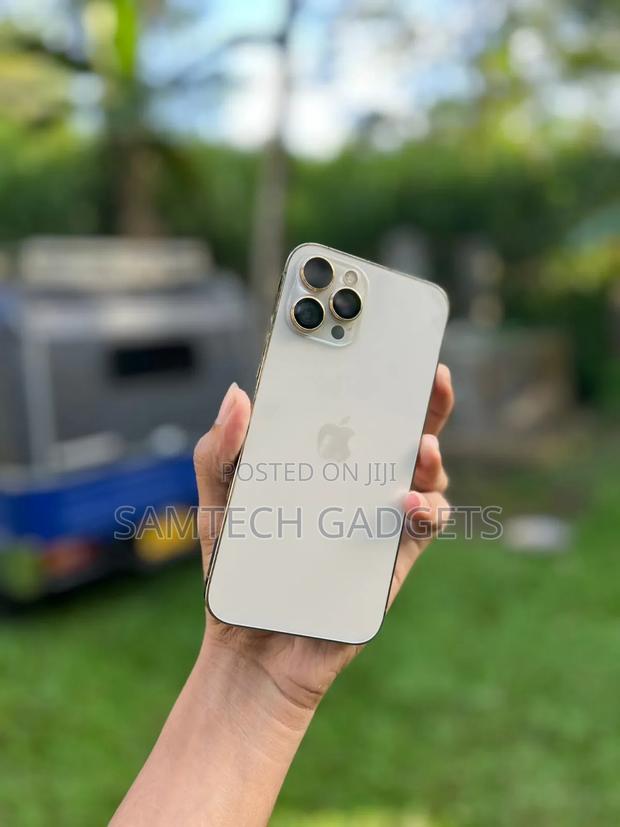 Apple iPhone 12 Pro Max 256 GB Silver - thumbnail 3