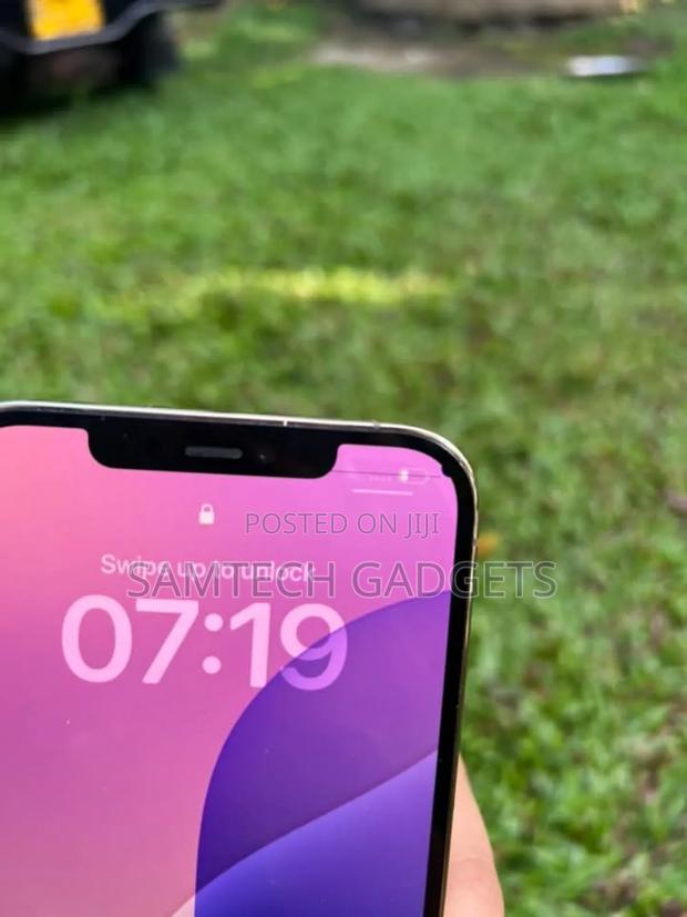 Apple iPhone 12 Pro Max 256 GB Silver - thumbnail 4