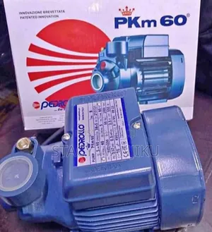 Pedrollo Water Pump 40m Head) Pkm60 Pedrollo Booster Pump