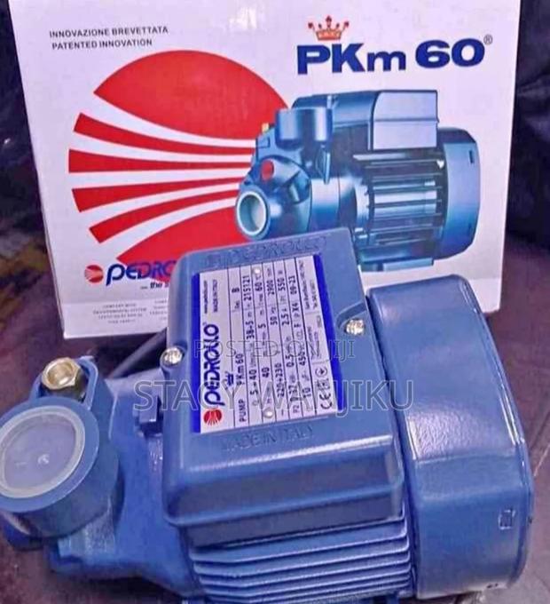Pedrollo Water Pump 40m Head) Pkm60 Pedrollo Booster Pump