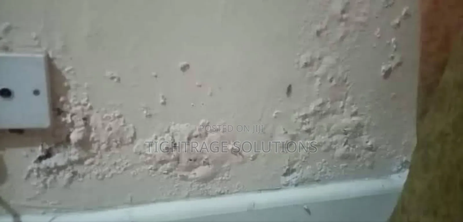 Damp-Rise Treatment – Premium Solutions for Lasting Protection!