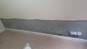 Damp-Rise Treatment – Premium Solutions for Lasting Protection!