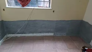 Damp-Rise Treatment – Premium Solutions for Lasting Protection!