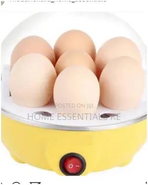 Electric Egg Boiler
