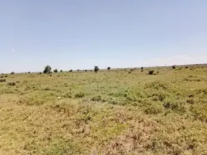 7 Acres From Kajiado Town to Level 5 Hospital/County/Land Offices