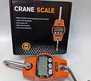 New 300kg Crane Scale