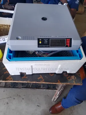 68 Eggs Incubator