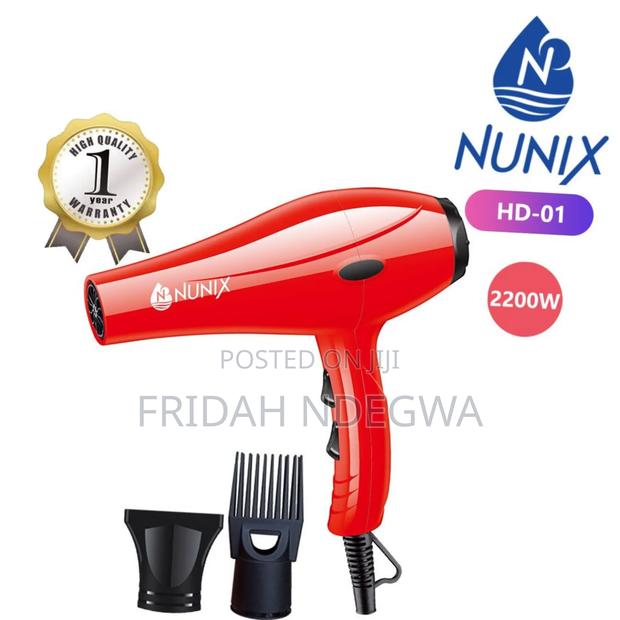 Nunix Hd-01
Professional Hair Dryer