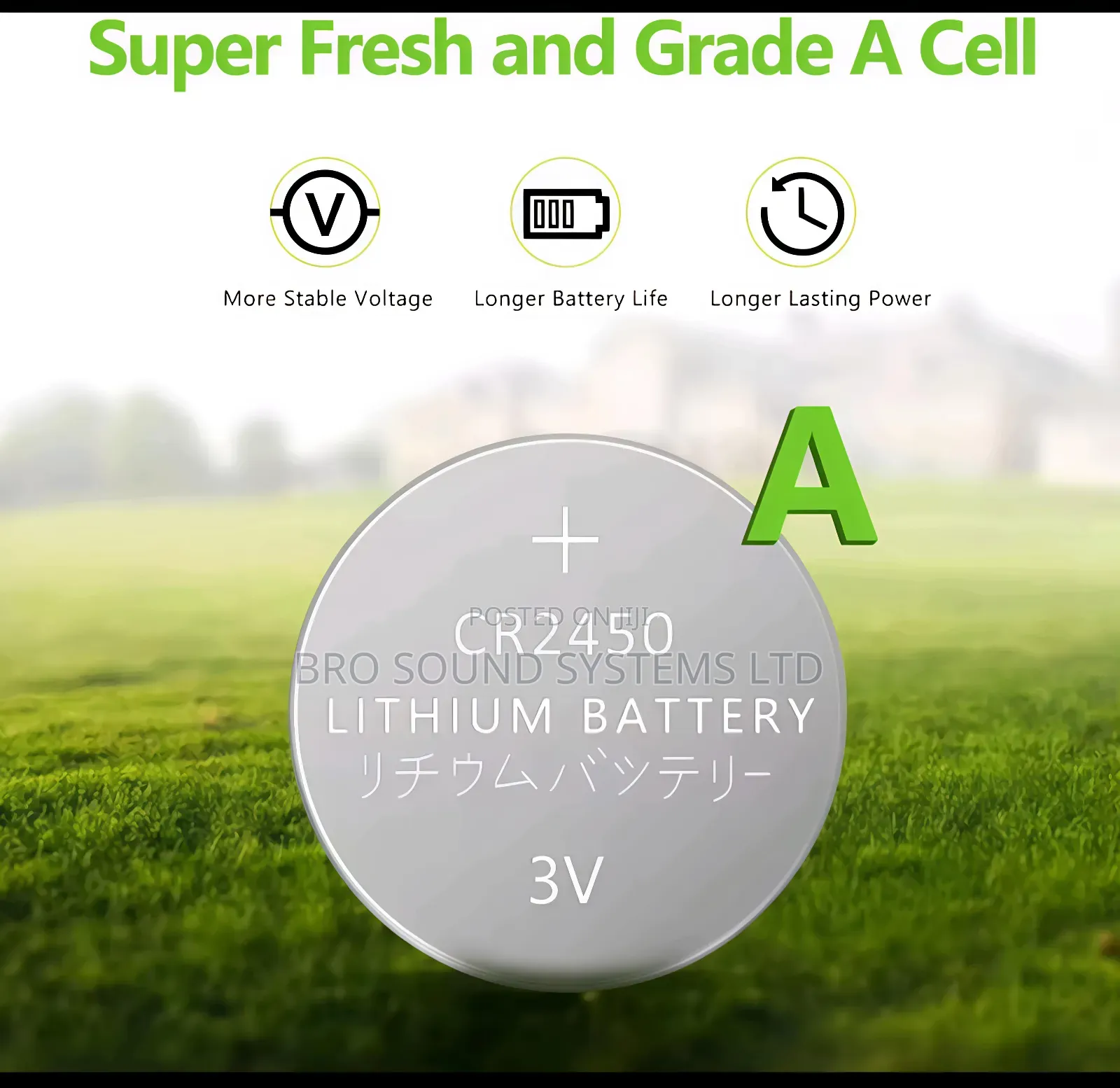 Lithium Car Remote Battery Cr2450