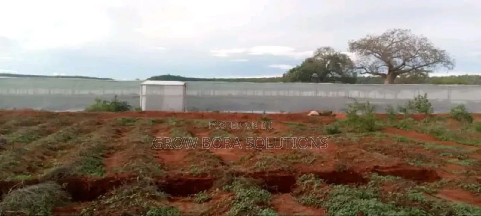 Greenhouse Polythene, Insect Net and Shade Nets