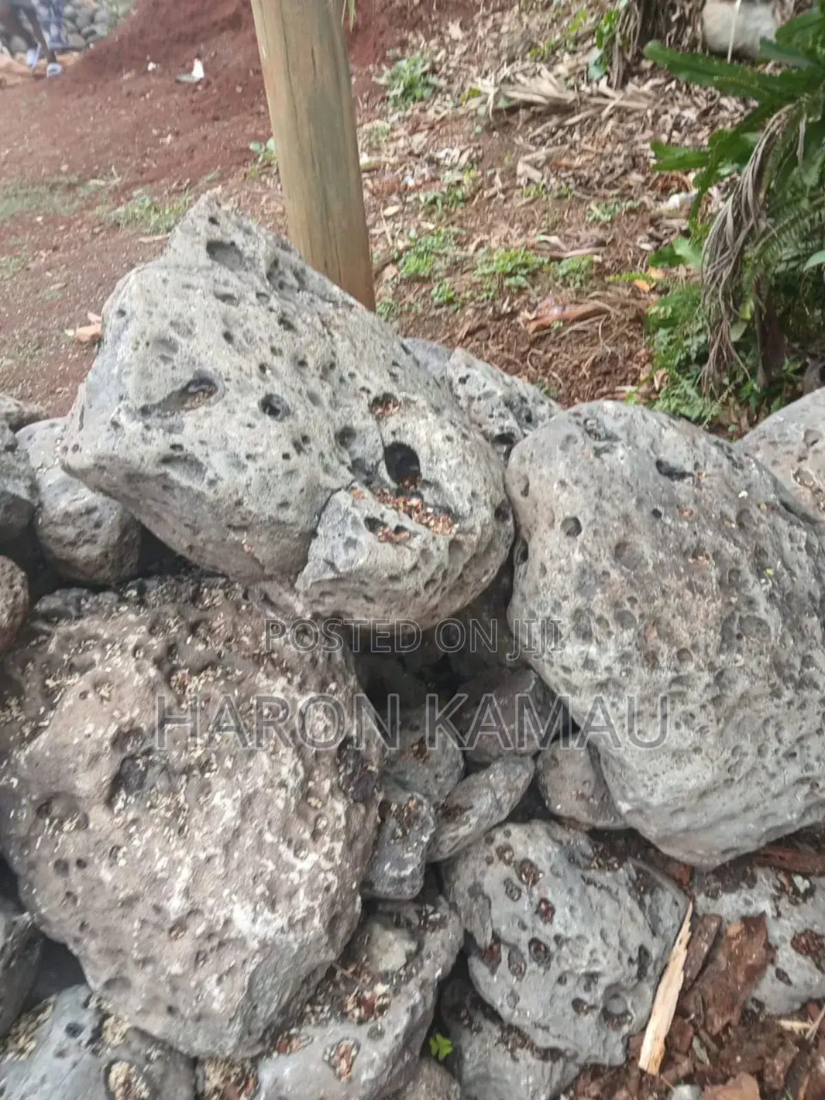 Pebble Stones(White and Gray)