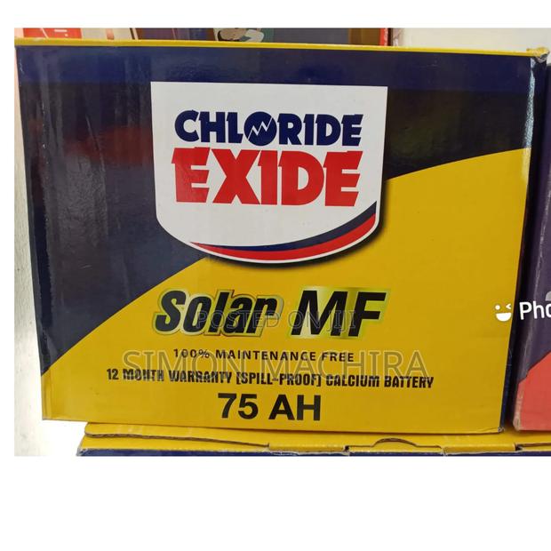 Chloride 75ah Mf Solar Battery - main view