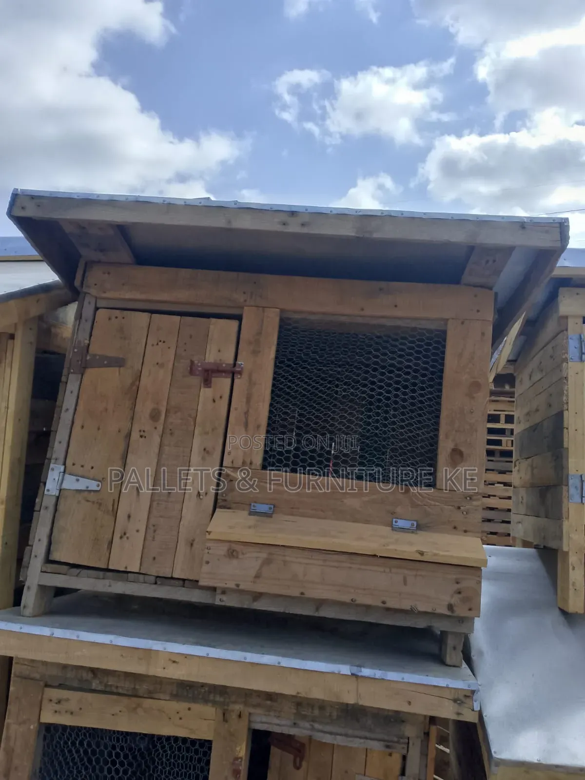 Morning Chicks  House