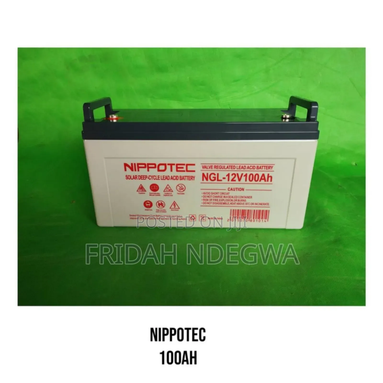 Nippotec 100 Ah