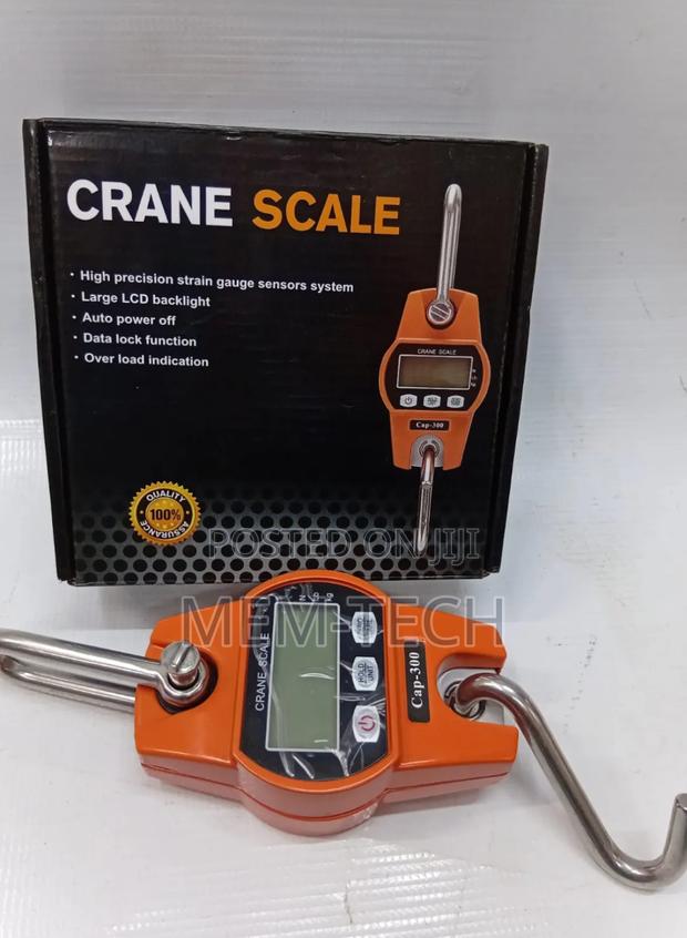 300kg Weighing Scale/300kg Hanging Scale - main view