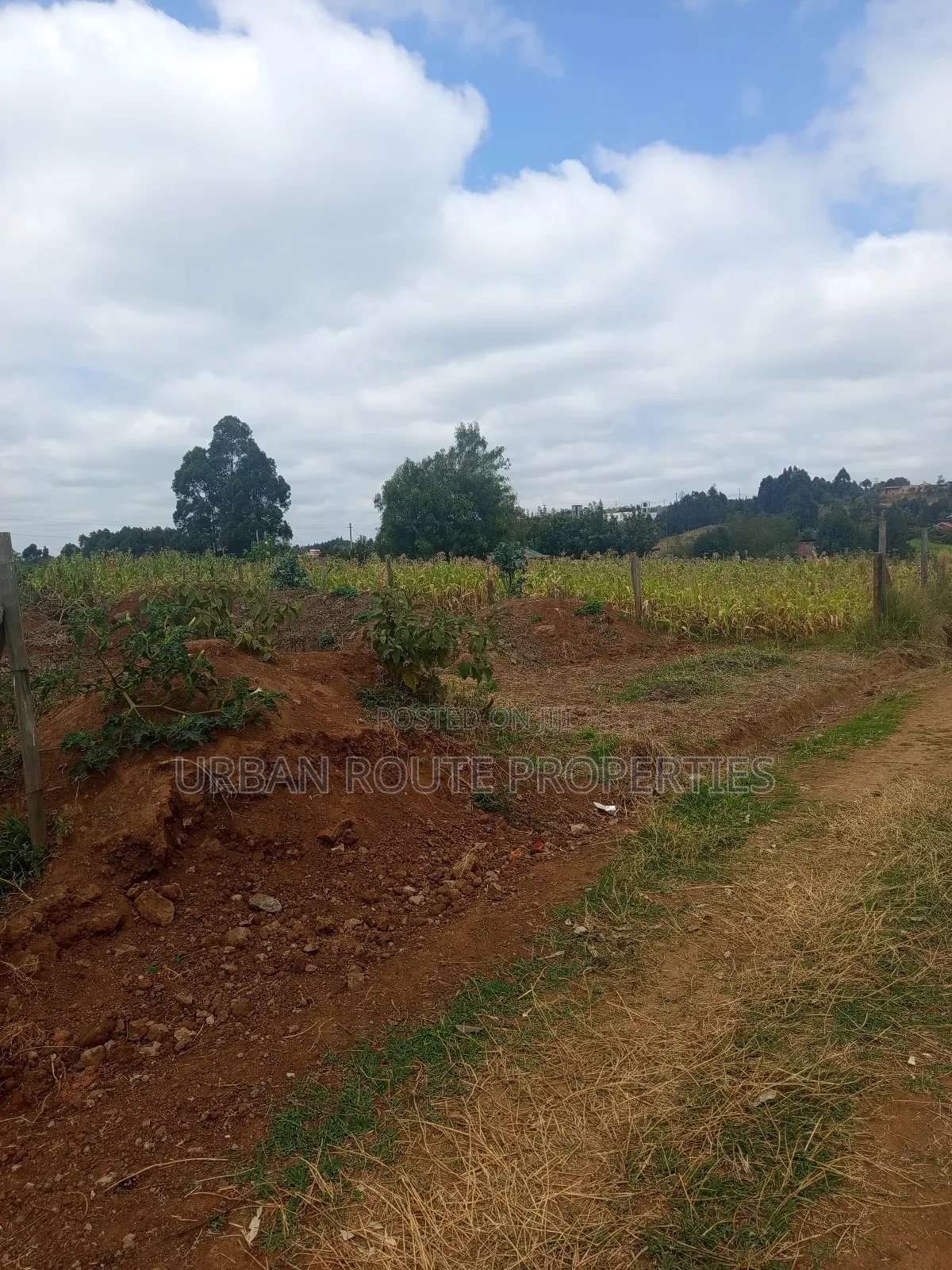 100*100 Plot for Sale