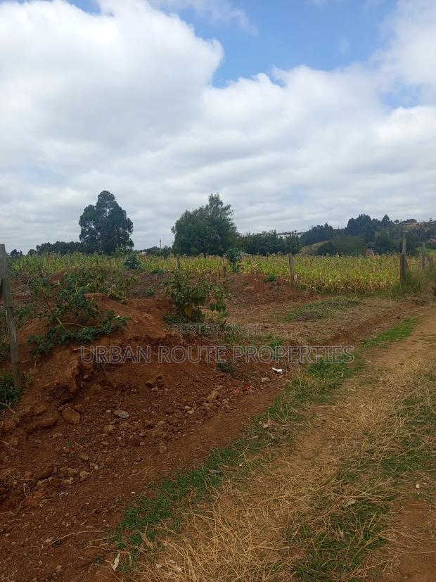 100*100 Plot for Sale - thumbnail 3