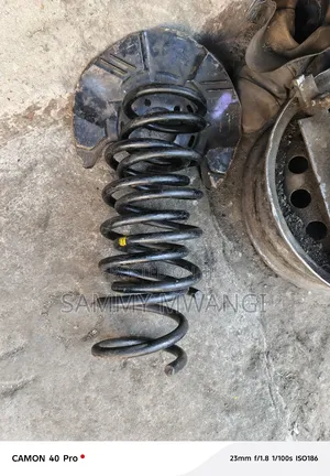 Subaru Sg5 Rear Coil Spring 2500 Each