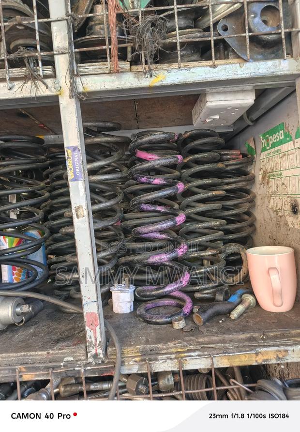 GCM Savana Coil Spring for Ground Clearance Each - main view