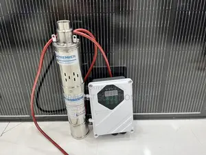 Premier Brushless Solar Pump 110m