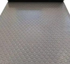 Modern High Quality Coin Carpet