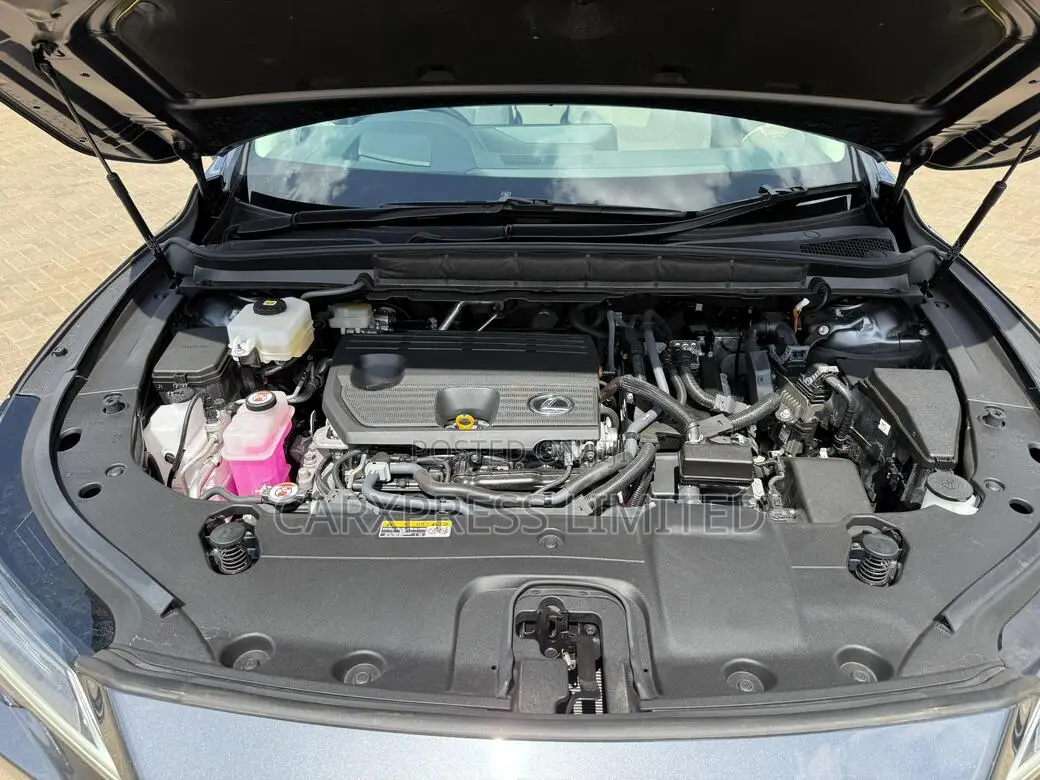 New Lexus RX 350 2024 Gray