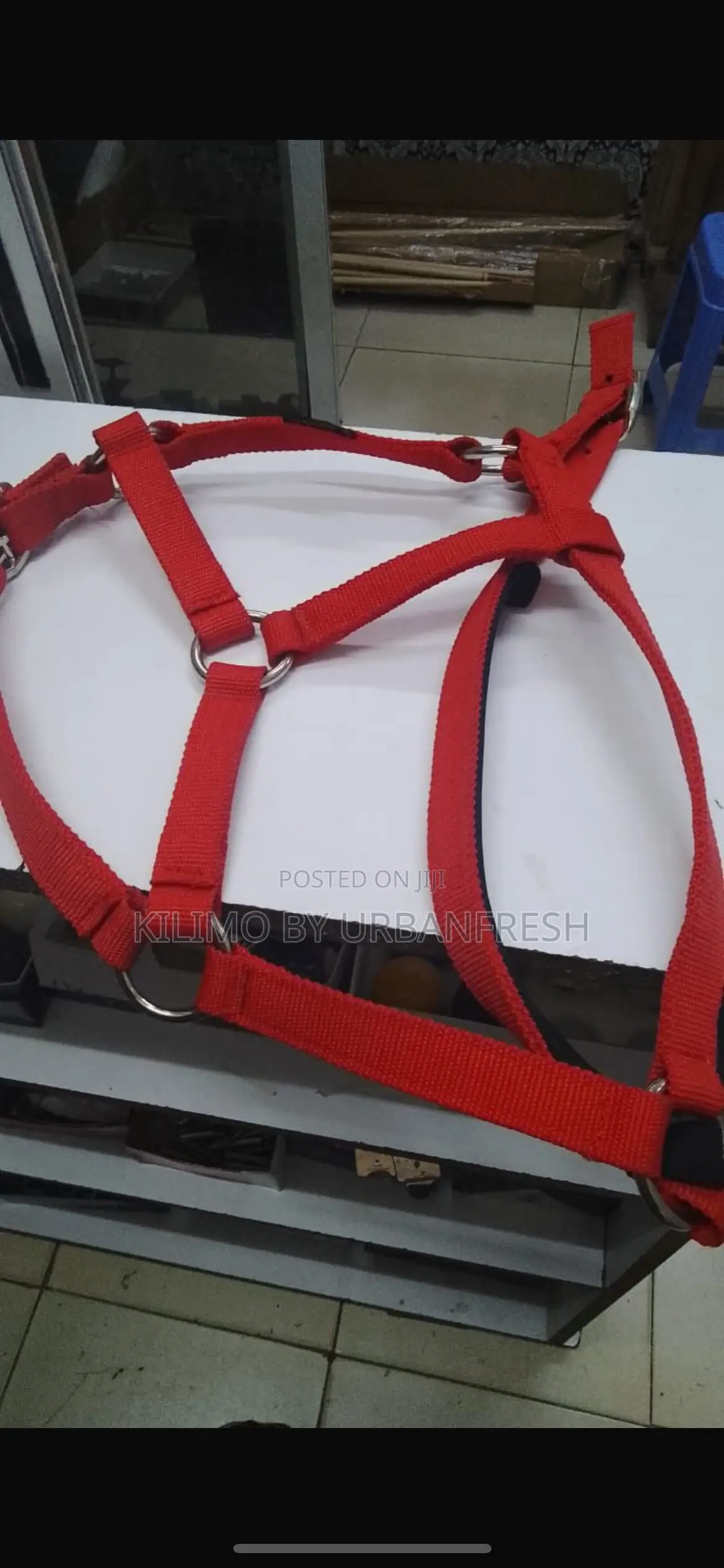 Livestock Harness ( Cattle )