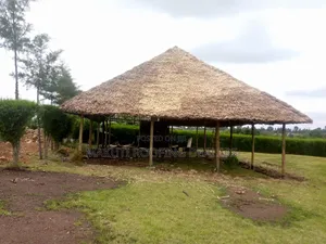 Makuti Roofing and Delivery Services.
