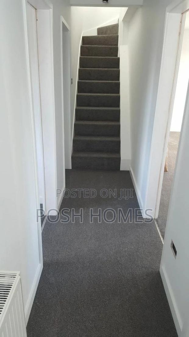 Affordable 4mm Delta Carpet
