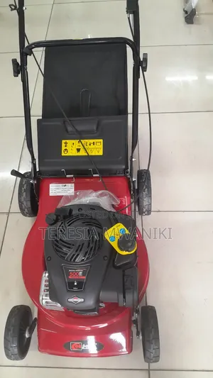 Briggs& Stration Lawn Mower