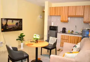 Budget Friendly 1 Bedroom Apartment in South B