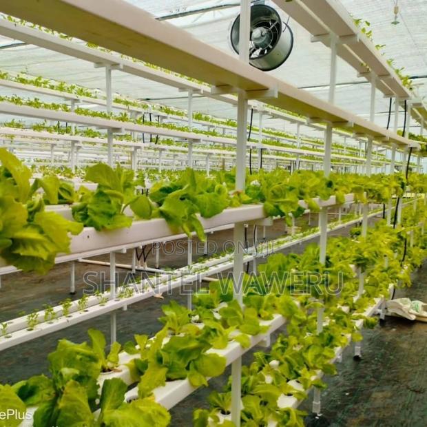 Air Circulation Fan 500mm - thumbnail 4