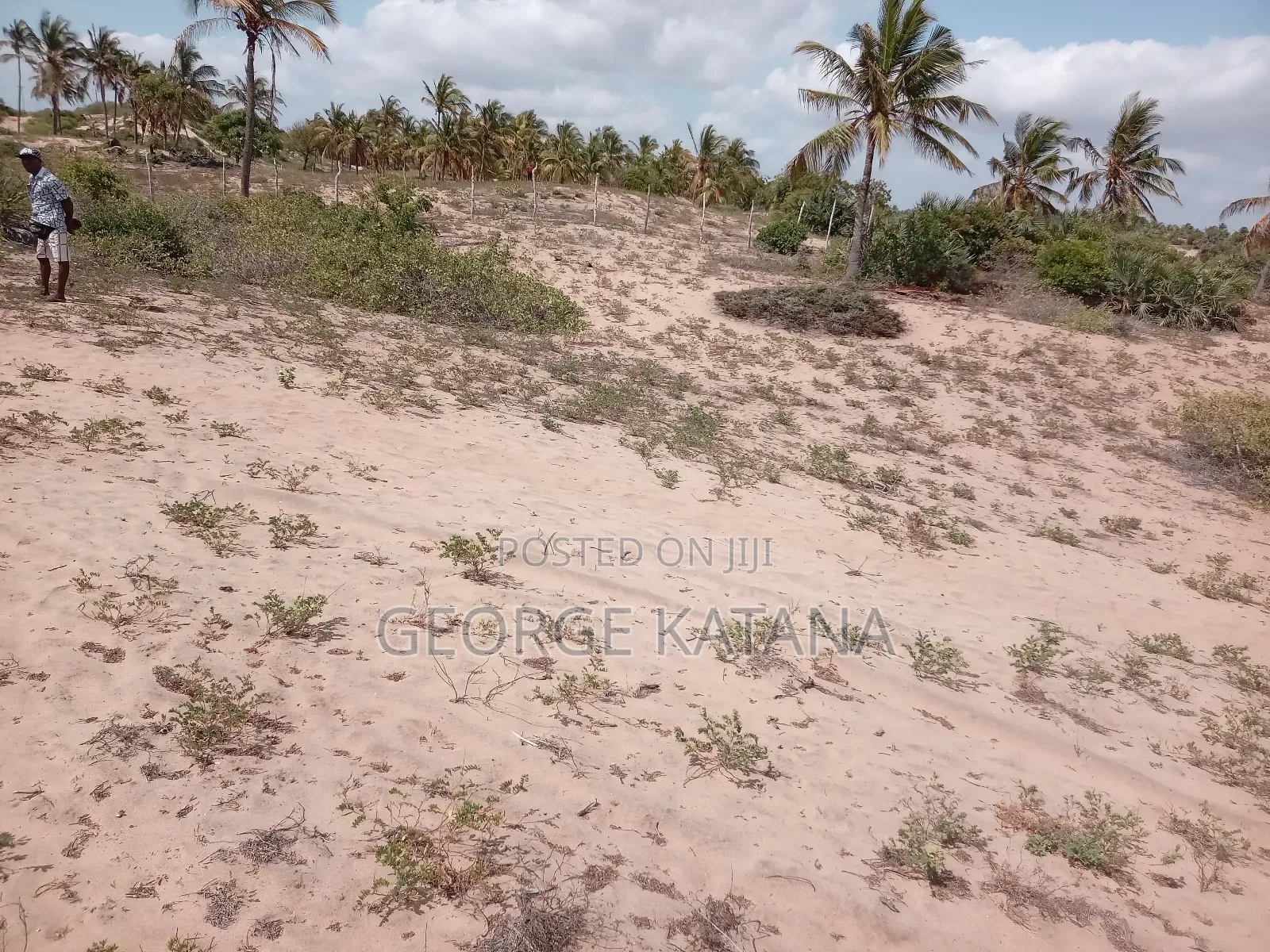 Beach Plots for Sale