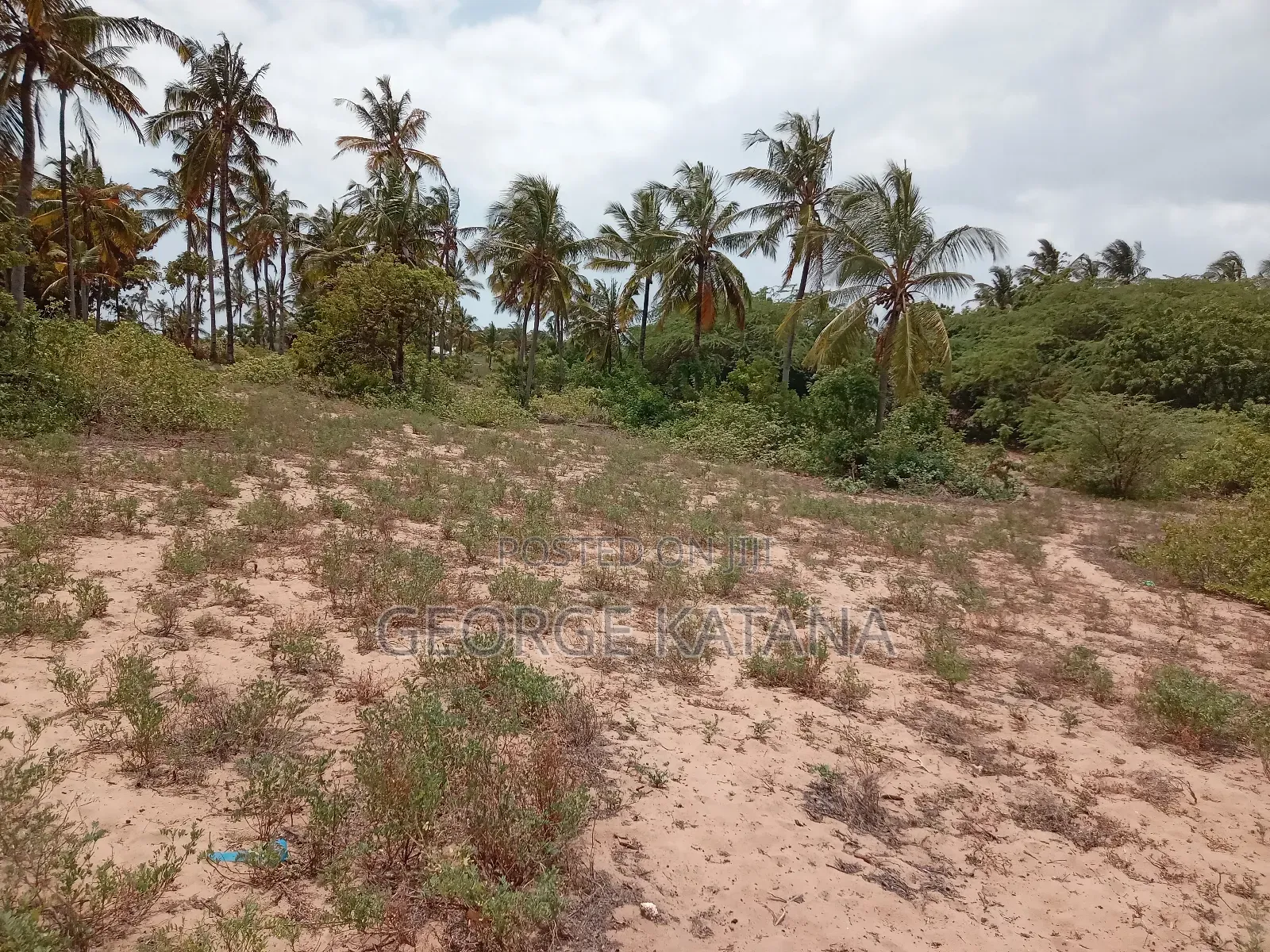 Beach Plots for Sale