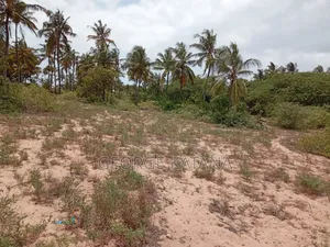 Beach Plots for Sale