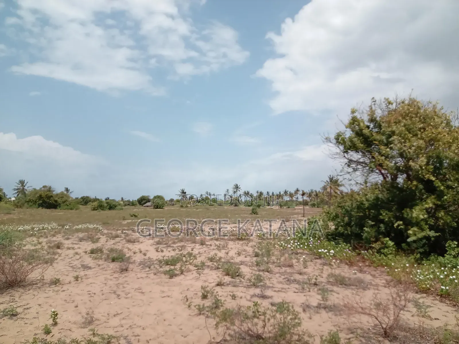 Beach Plots for Sale