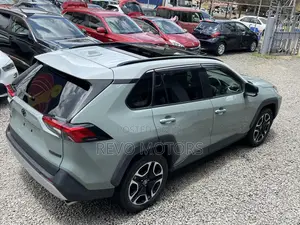 Toyota RAV4 Adventure 2019 Gray