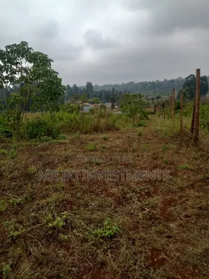 50 By100 Plots on Sale at Kenol-Riandegwa Area
