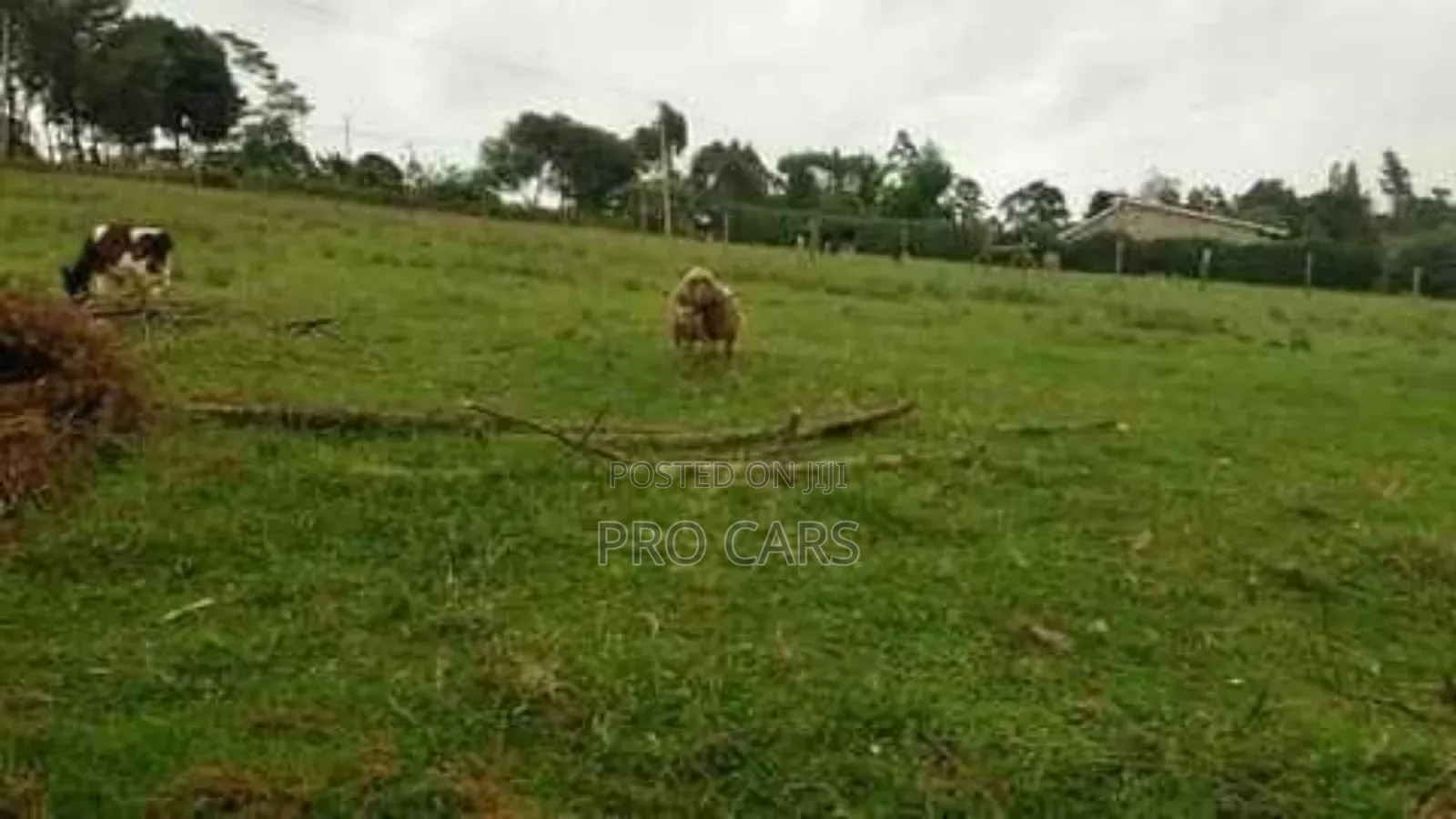 10 Acres For Sale In Rironi