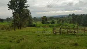 10 Acres For Sale In Rironi