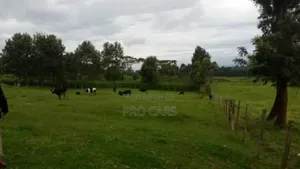 10 Acres For Sale In Rironi