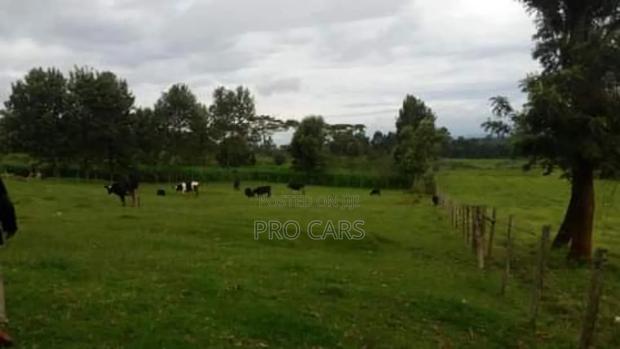 10 Acres For Sale In Rironi - thumbnail 4
