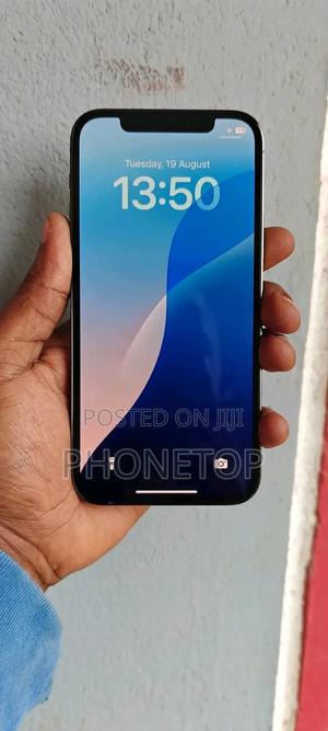 Apple iPhone 12 Pro 256 GB Blue - main view