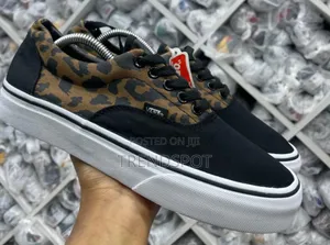 Customized Vans
