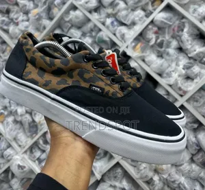 Customized Vans