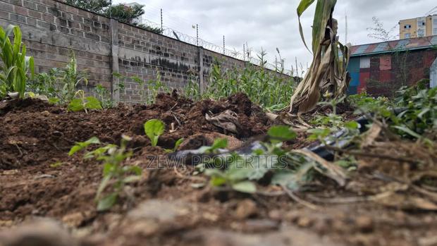 1/8 Race Course Talanta Stadium - thumbnail 3