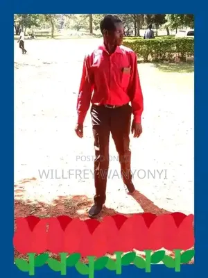 Job Application As Described Above;