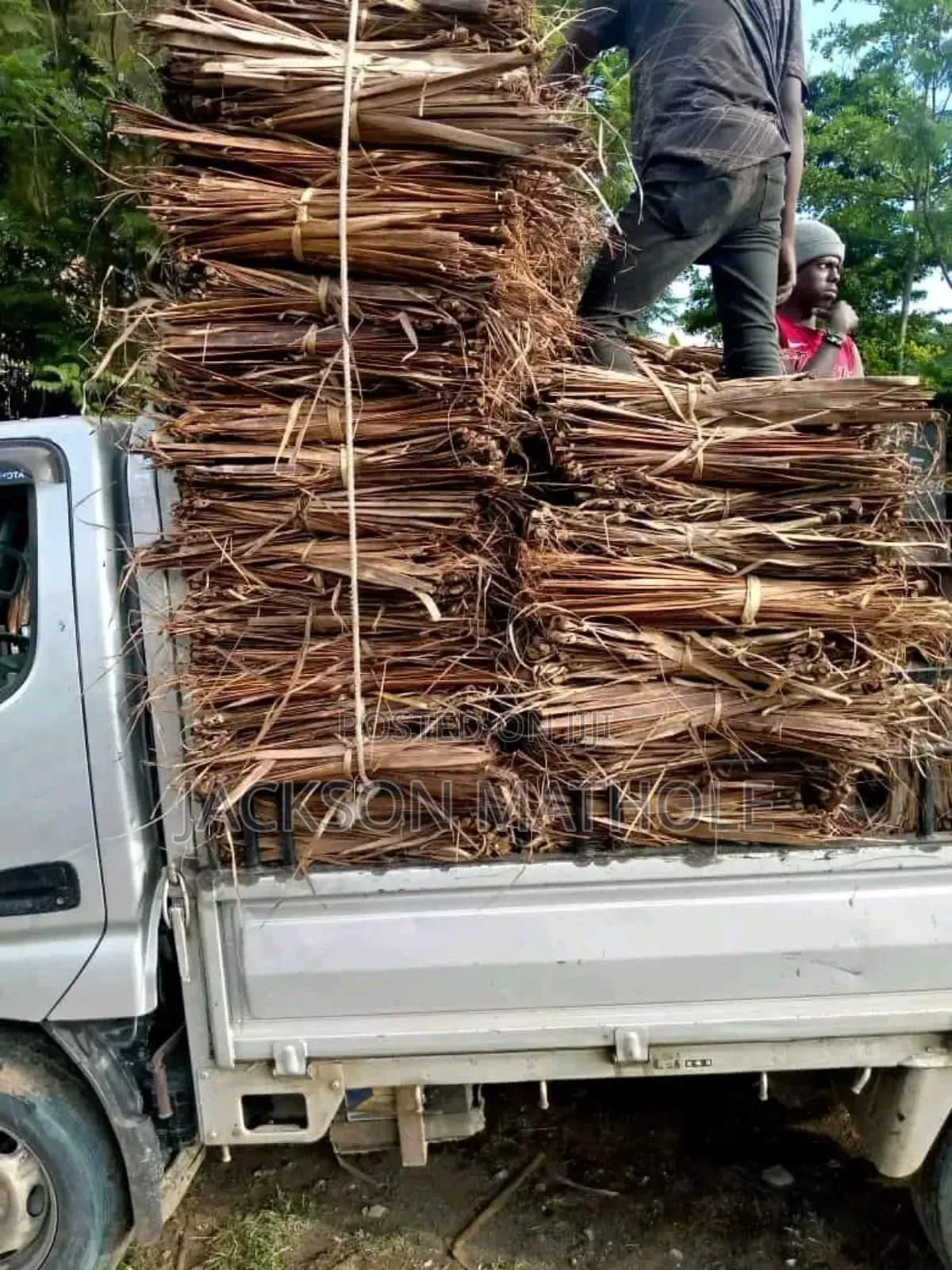 Makuti Supply