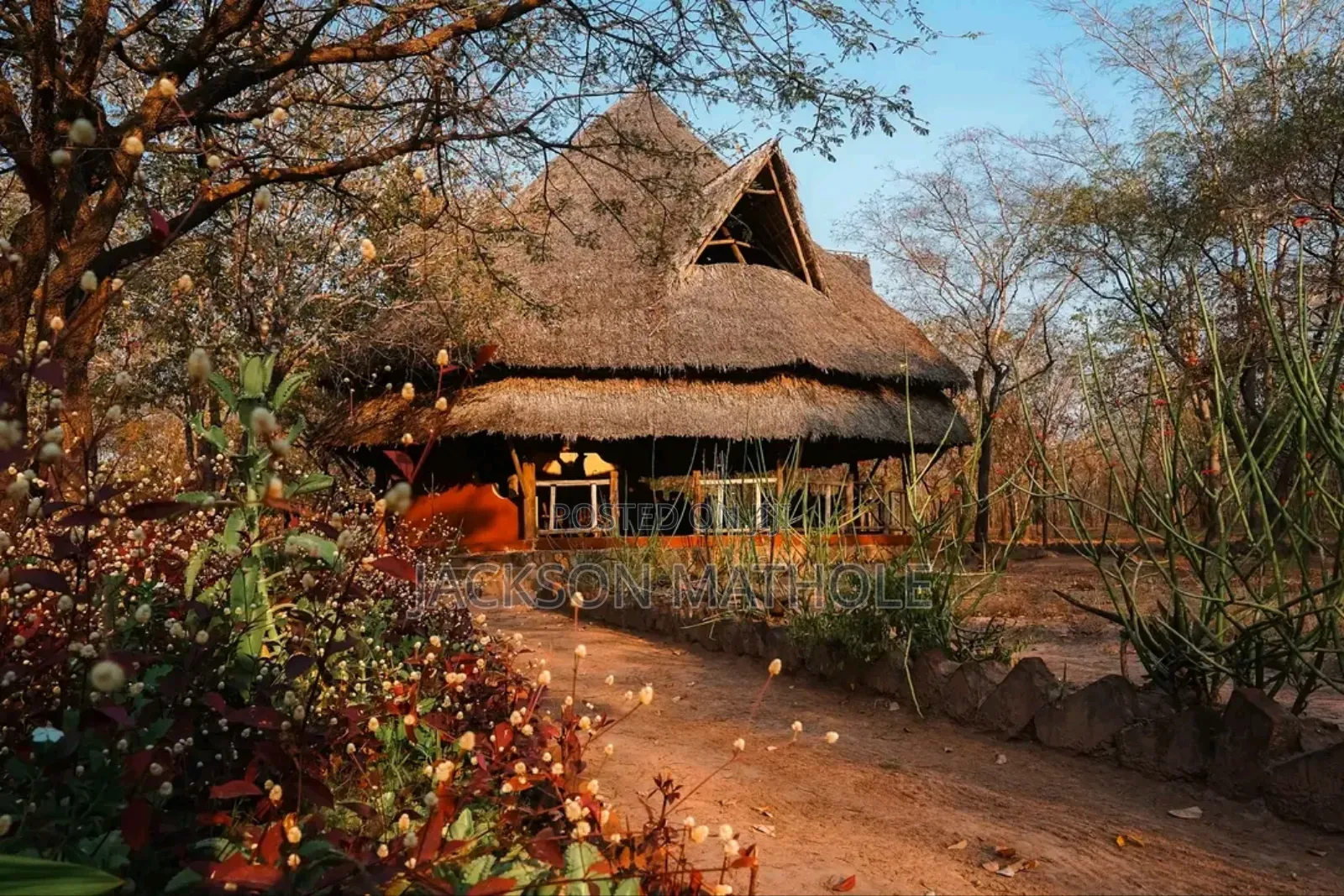 Makuti Supply