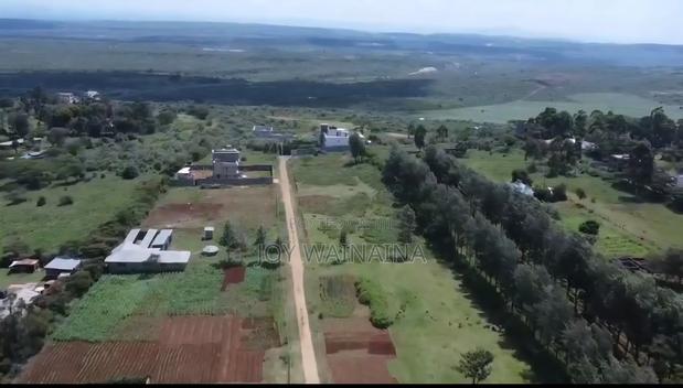 1/4 Acre Land for Sale - thumbnail 3